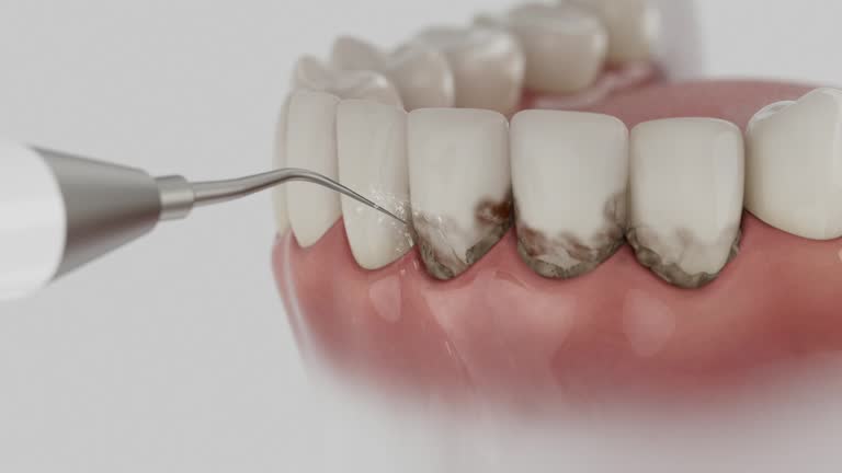 Reliable Dental contractor in Kingston, PA by Dentist Open Now